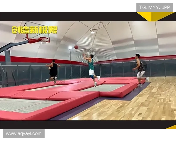 南京极限运动队与杭州极限运动队赛后状态全面分析与对比