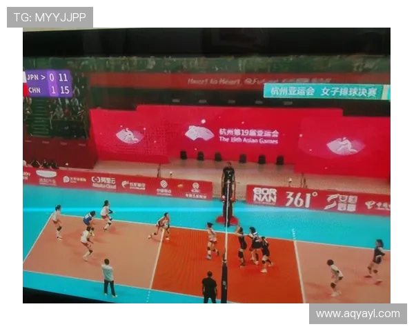 杭州排球队的精神风貌与团队意识探讨及其对排球运动的影响